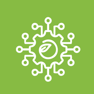 Edible salt manufacturing company services icon