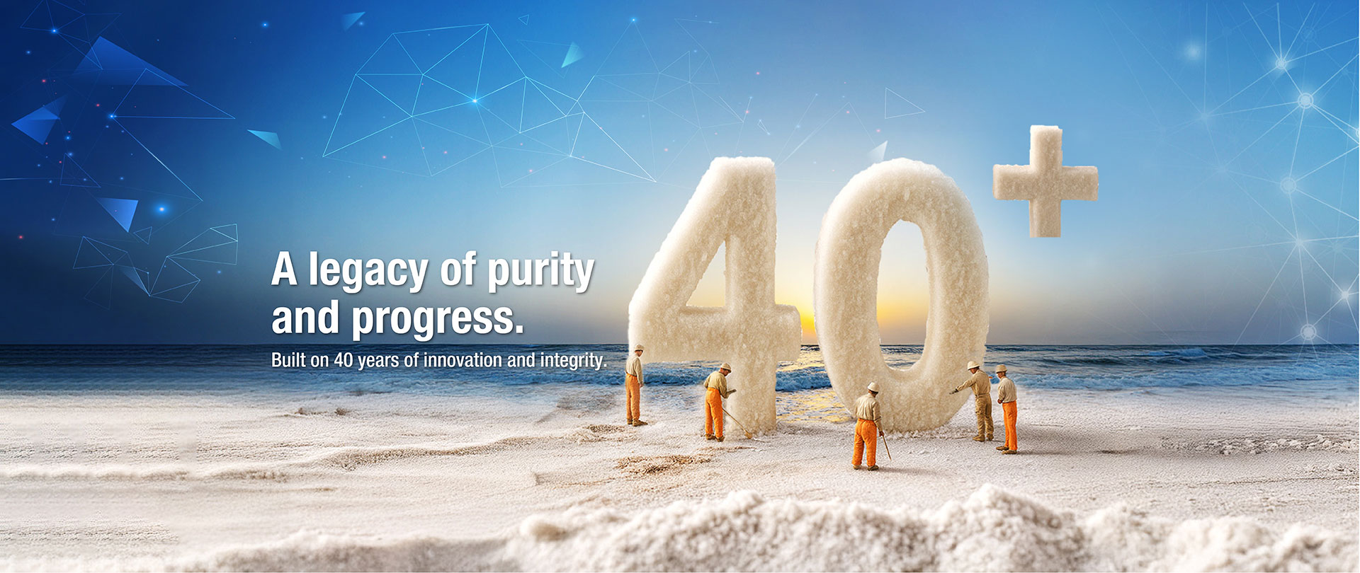 Industrial salt supplier banner